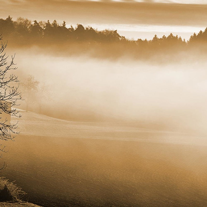 Glezna baltā rāmī - Fog Over The Lake 1 