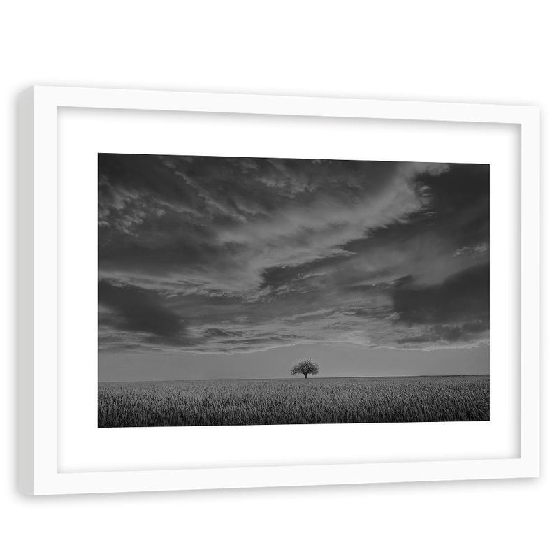 Glezna baltā rāmī - Lone Tree In Field 2 