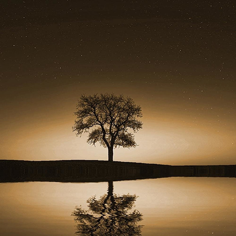 Glezna baltā rāmī - Tree Under The Starry Sky 1 