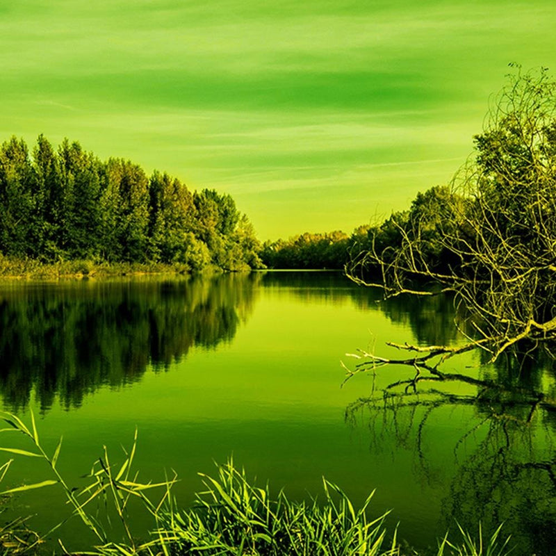 Glezna baltā rāmī - View Of The Lake 4 