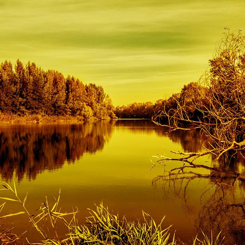 Glezna baltā rāmī - View Of The Lake 3 