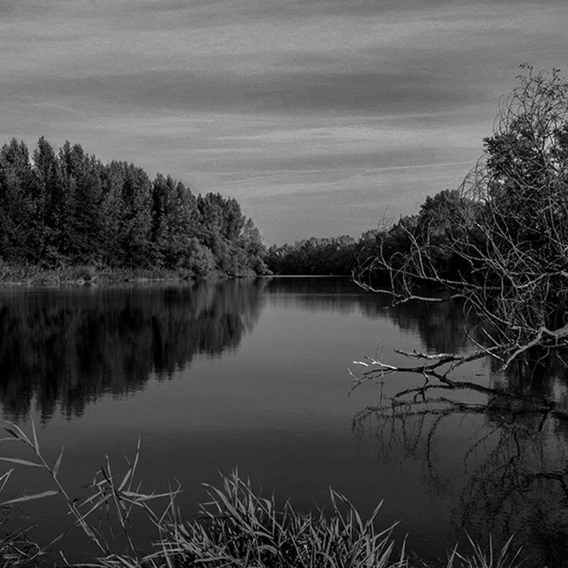 Glezna baltā rāmī - View Of The Lake 2 