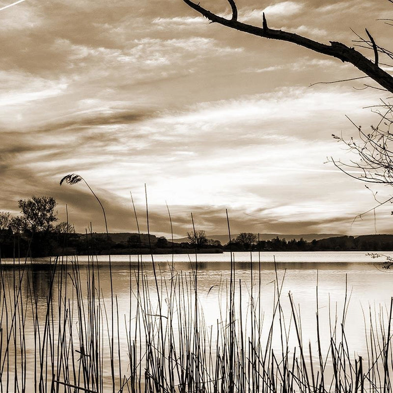 Glezna baltā rāmī - Dry Tree On The Lake 1 