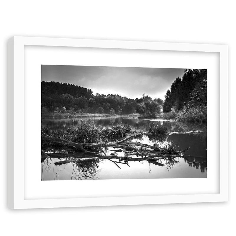 Glezna baltā rāmī - Fallen Tree In The Lake 2 