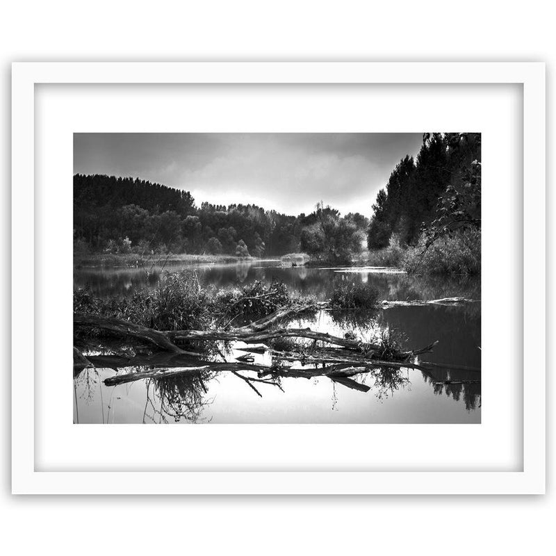 Glezna baltā rāmī - Fallen Tree In The Lake 2 