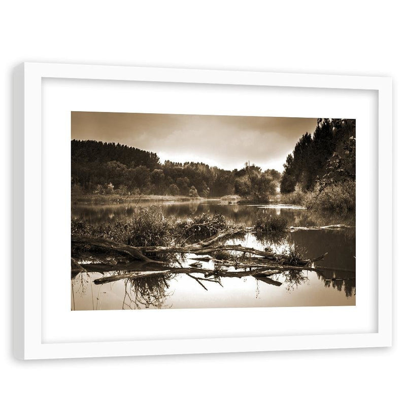 Glezna baltā rāmī - Fallen Tree In The Lake 1 