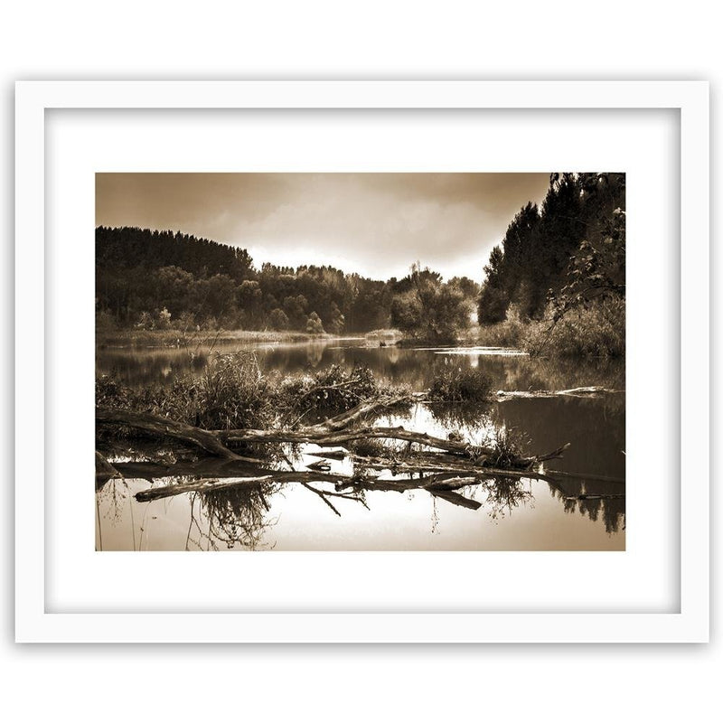 Glezna baltā rāmī - Fallen Tree In The Lake 1 