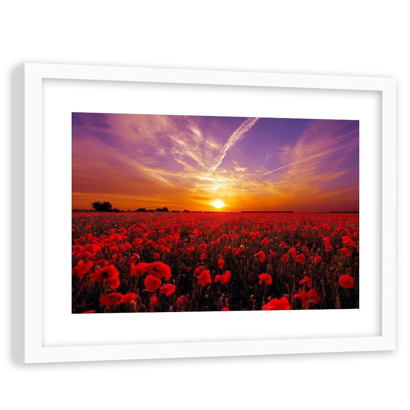 Glezna baltā rāmī - Sunset Over A Field Poppy 3 