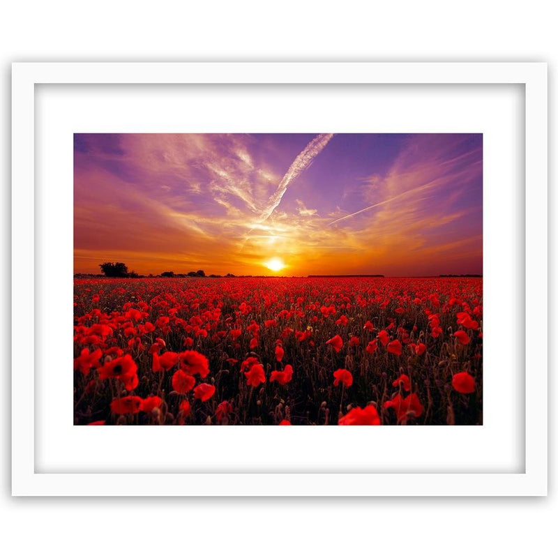 Glezna baltā rāmī - Sunset Over A Field Poppy 3 