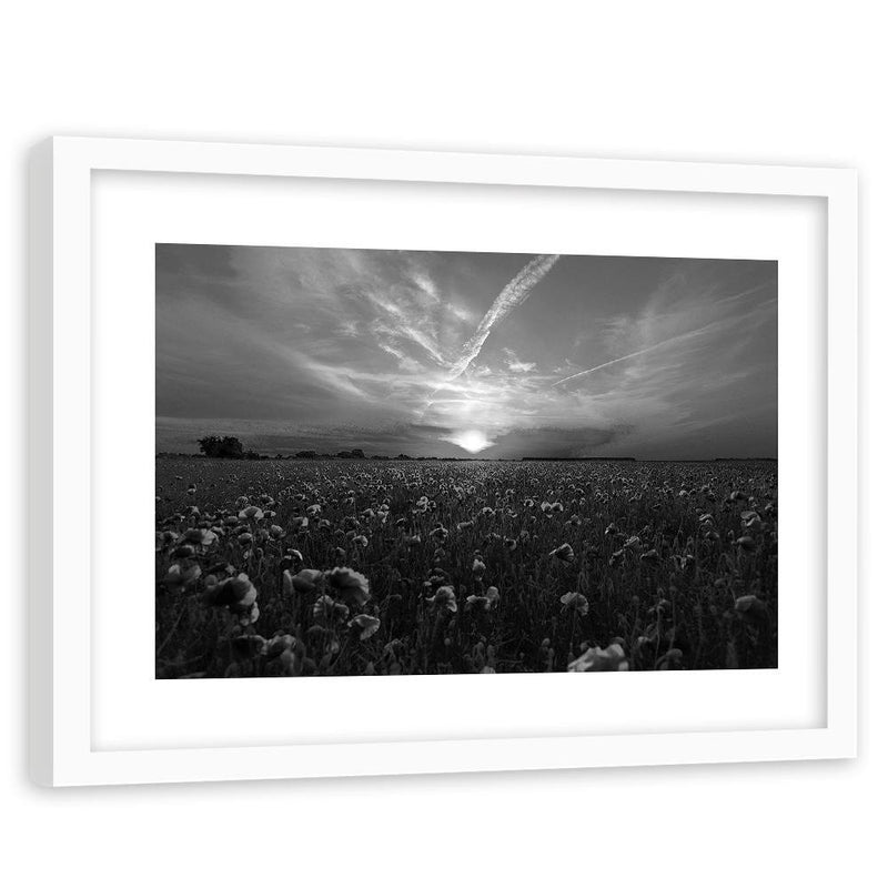 Glezna baltā rāmī - Sunset Over A Field Poppy 2 