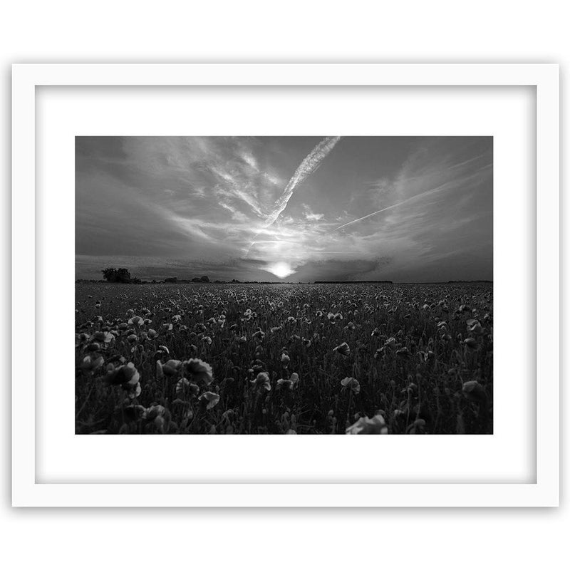 Glezna baltā rāmī - Sunset Over A Field Poppy 2 