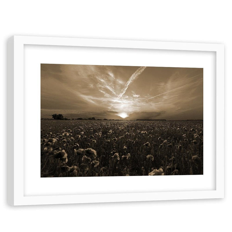 Glezna baltā rāmī - Sunset Over A Field Poppy 1 