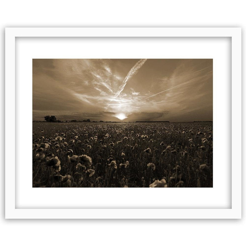 Glezna baltā rāmī - Sunset Over A Field Poppy 1 