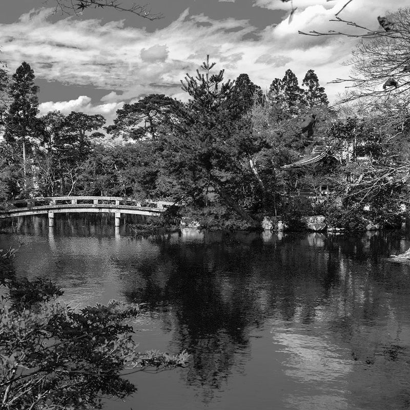 Glezna baltā rāmī - The Bridge Over The River In The Park 2 