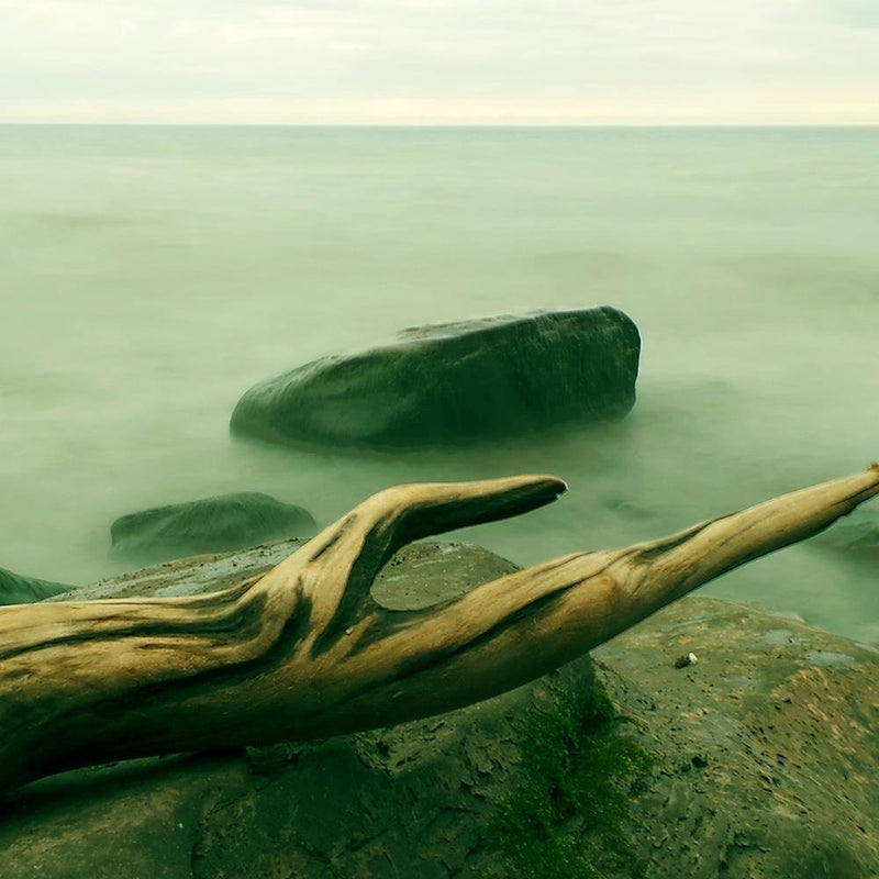 Glezna baltā rāmī - Branch On The Stone 4 