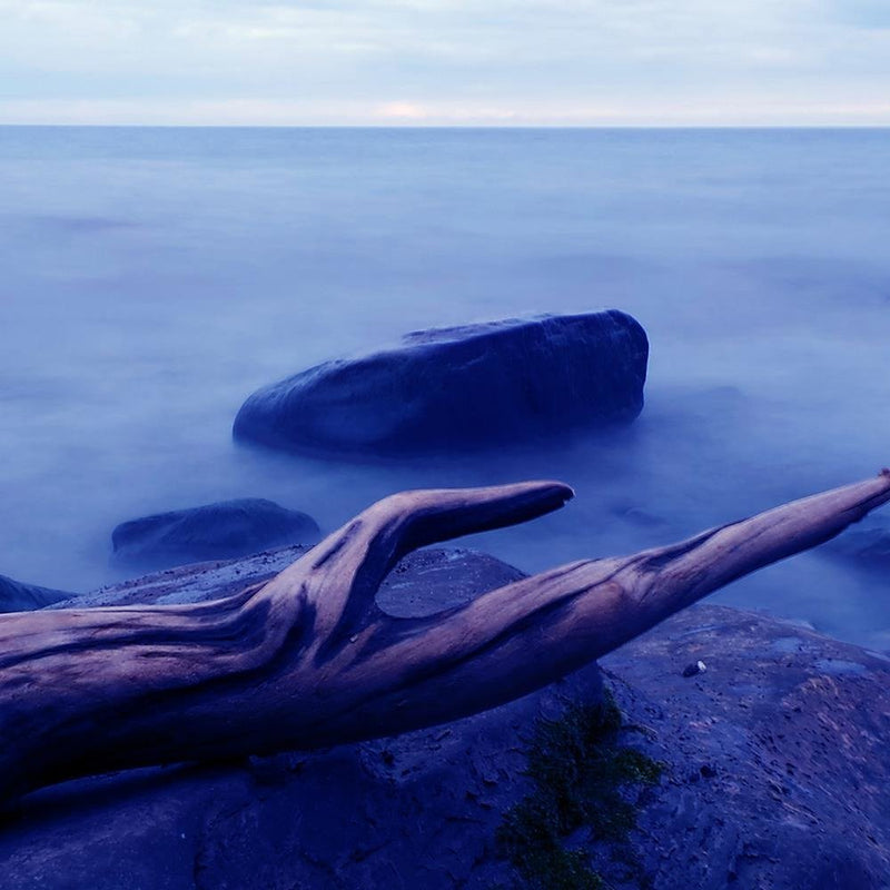 Glezna baltā rāmī - Branch On The Stone 3 