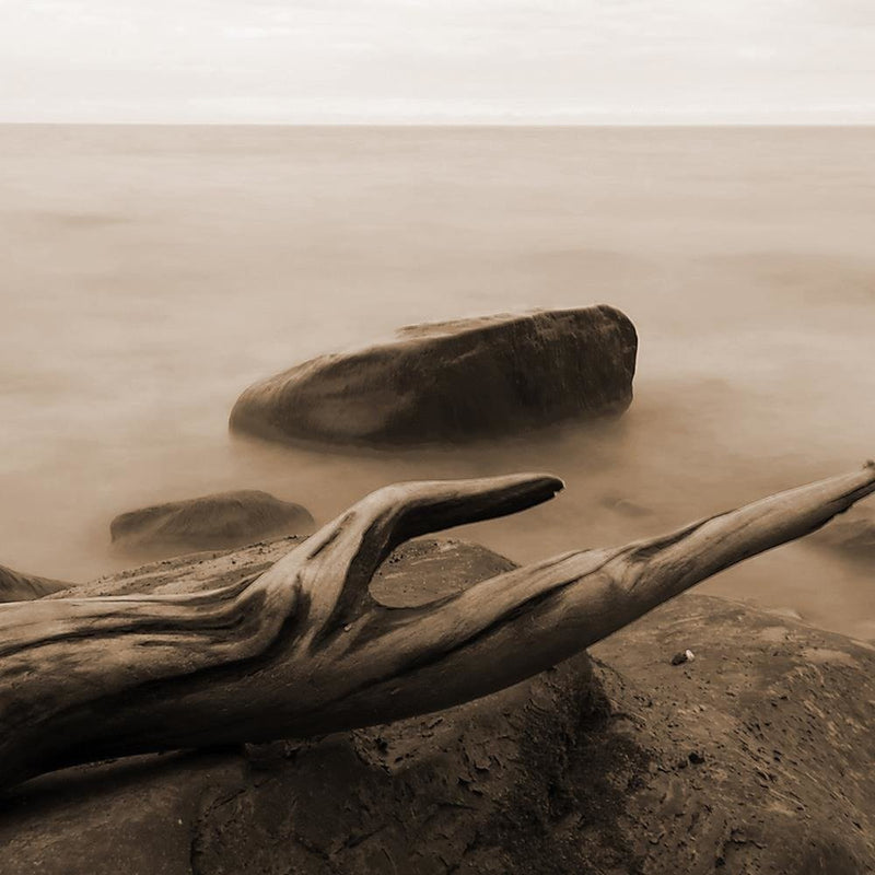 Glezna baltā rāmī - Branch On The Stone 1 