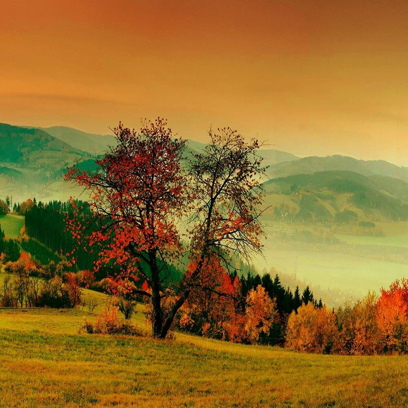 Glezna baltā rāmī - The Hills Of Autumn Trees 3 