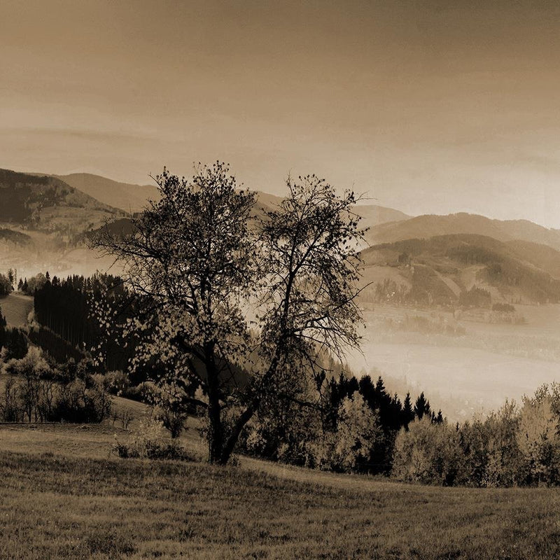 Glezna baltā rāmī - The Hills Of Autumn Trees 1 