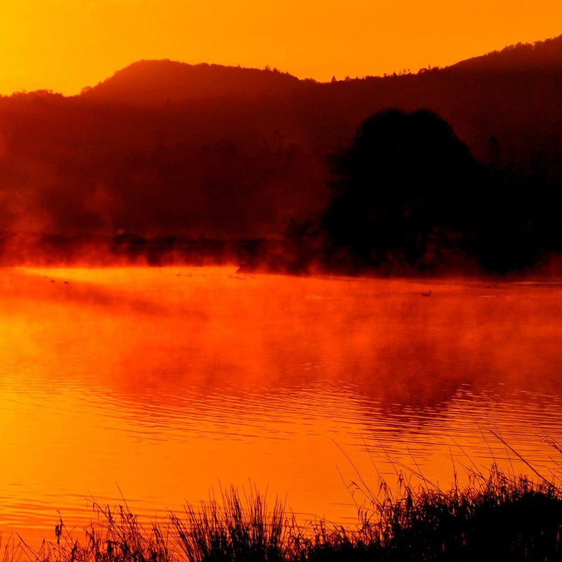 Glezna baltā rāmī - Lake In The Mist 4 