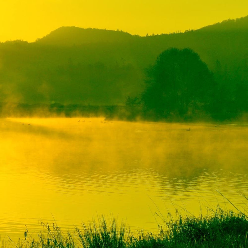 Glezna baltā rāmī - Lake In The Fog 3 