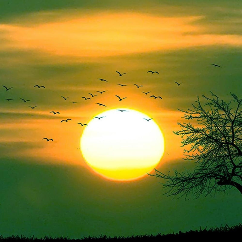 Glezna baltā rāmī - Birds At Sunset 4 