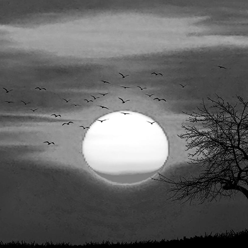 Glezna baltā rāmī - Birds At Sunset 2 