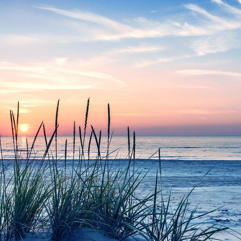 Glezna baltā rāmī - Grass On The Beach 4 