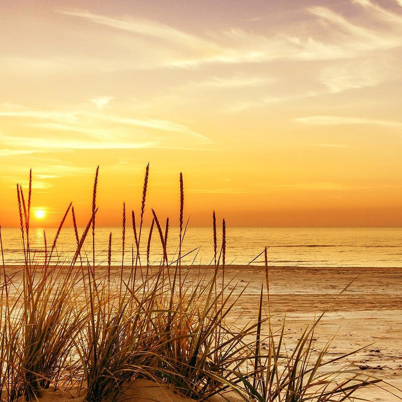 Glezna baltā rāmī - Grass On The Beach 3 