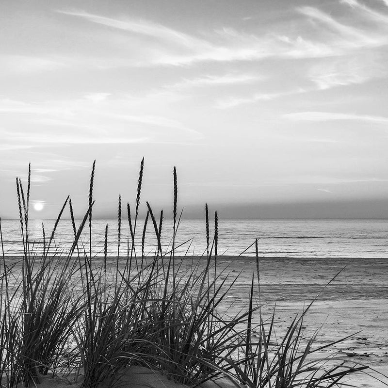 Glezna baltā rāmī - Grass On The Beach 2 