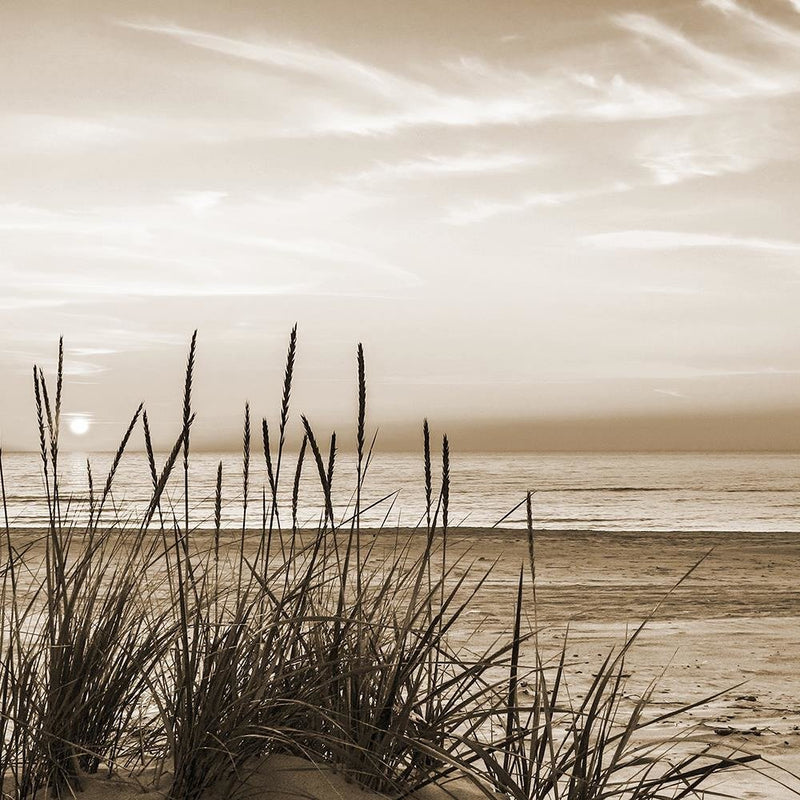 Glezna baltā rāmī - Grass On The Beach 1 