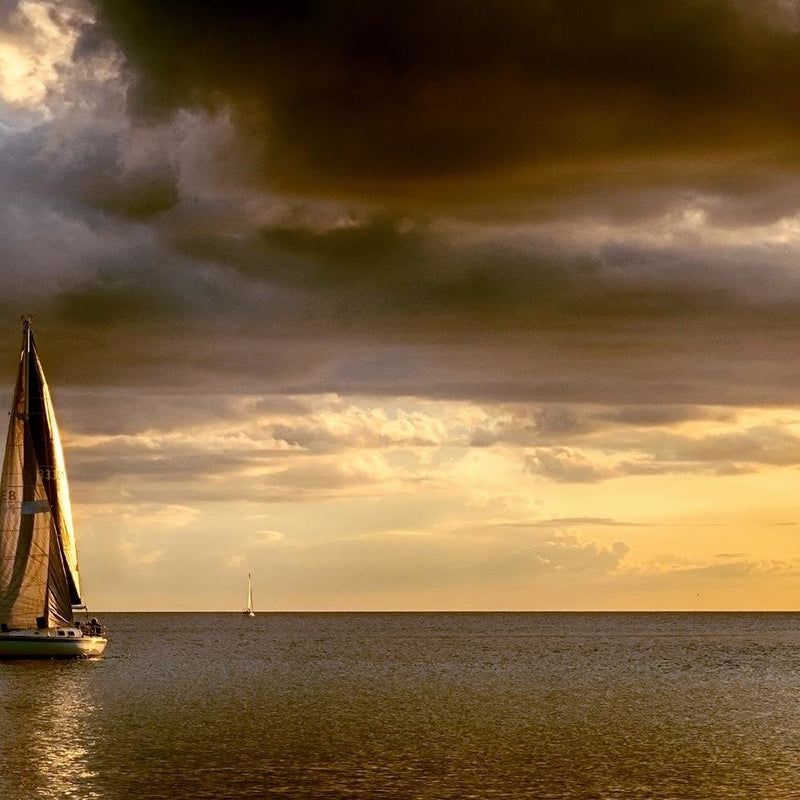 Glezna baltā rāmī - Sailboats At Sea 