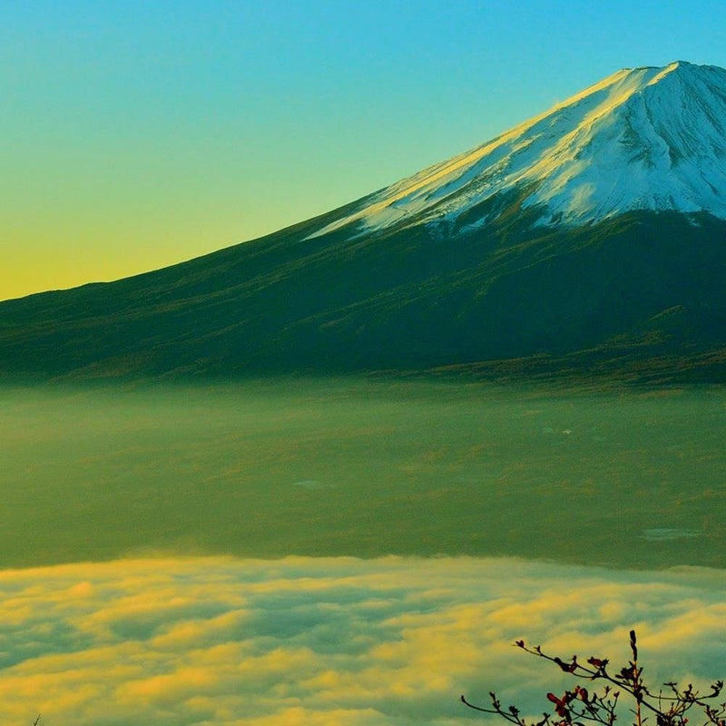 Glezna baltā rāmī - Mount Fuji 