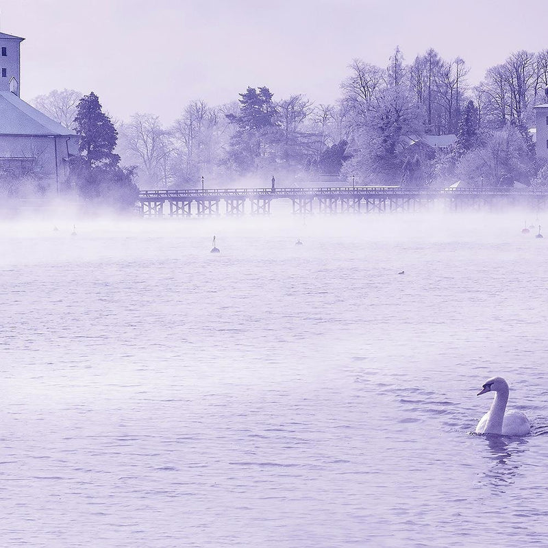 Glezna baltā rāmī - Misty Lake 