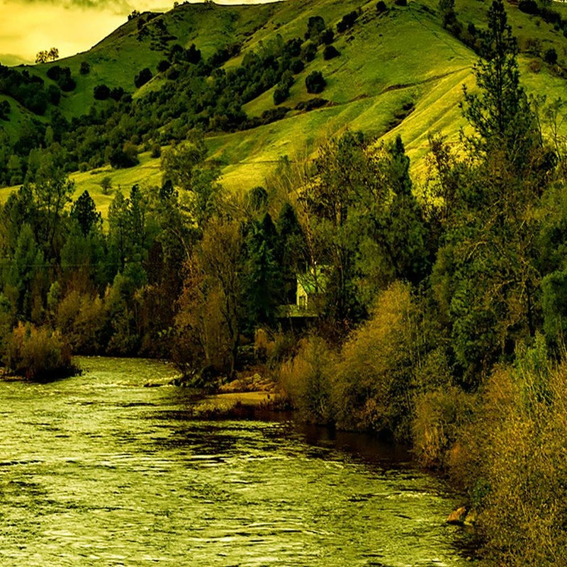 Glezna baltā rāmī - Mountain River In Green 