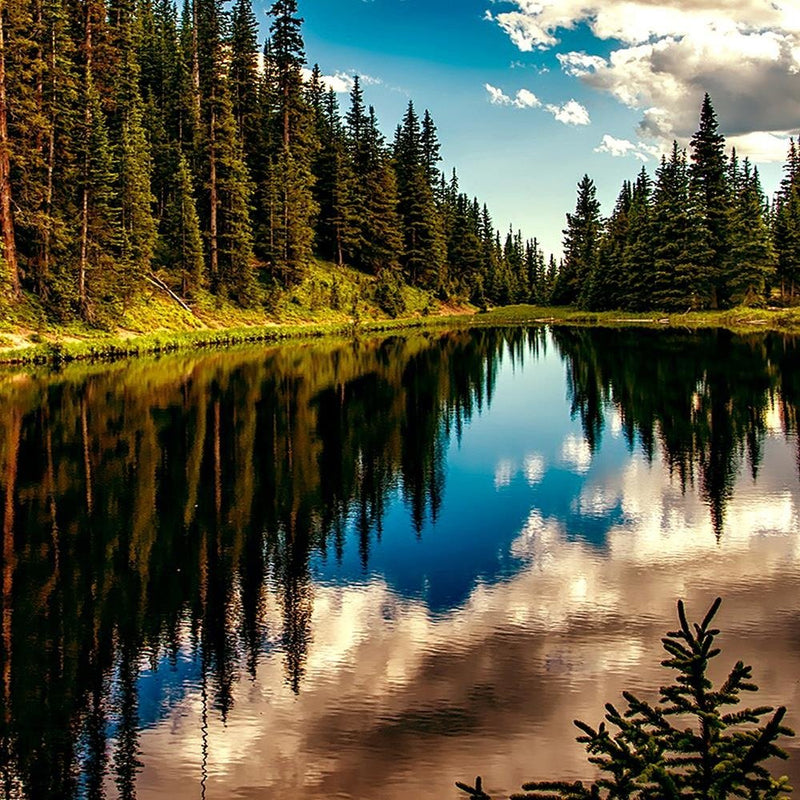 Glezna baltā rāmī - Reflection Of The Sky In The Lake 