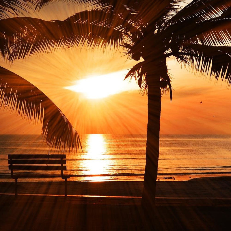 Glezna baltā rāmī - Palm Trees By The Sea At Sunset 