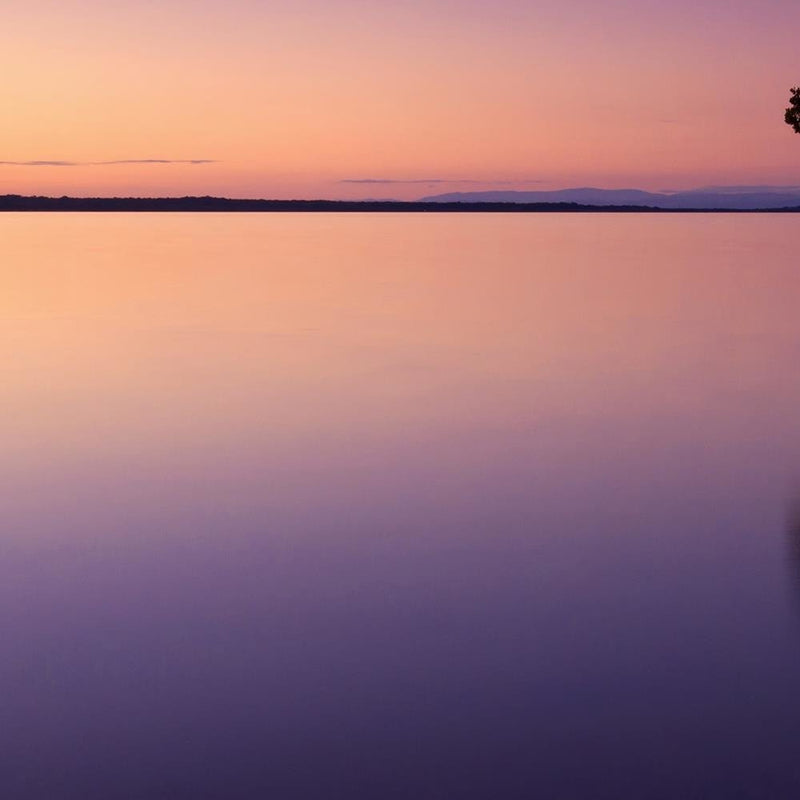 Glezna baltā rāmī - Lonely Tree On The Lake 