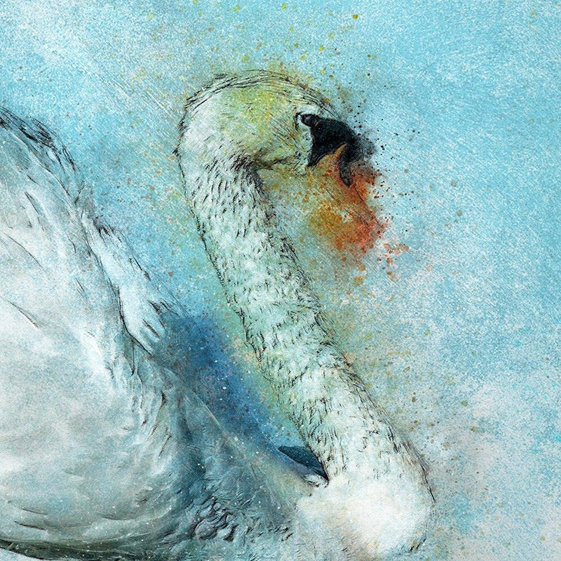 Glezna baltā rāmī - Swan And Ballerina 