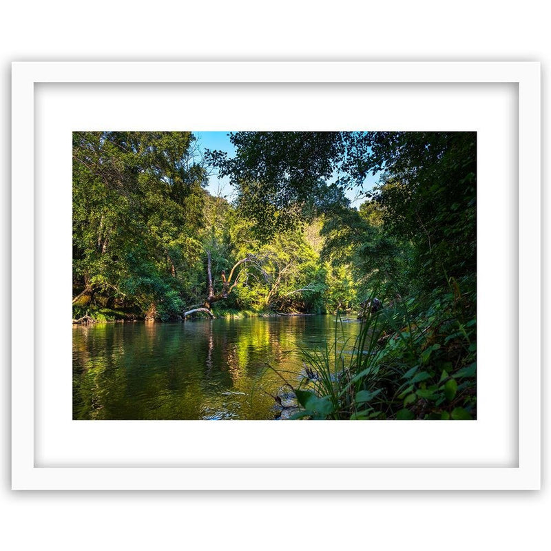 Glezna baltā rāmī - River In Tropical Forest 