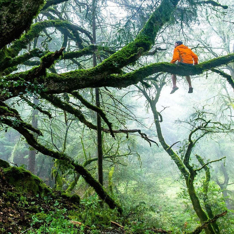 Glezna baltā rāmī - Man On A Branch 