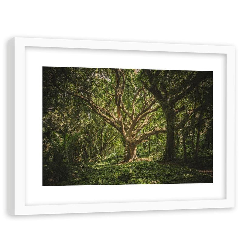 Glezna baltā rāmī - Large Tree In The Middle Of The Forest 