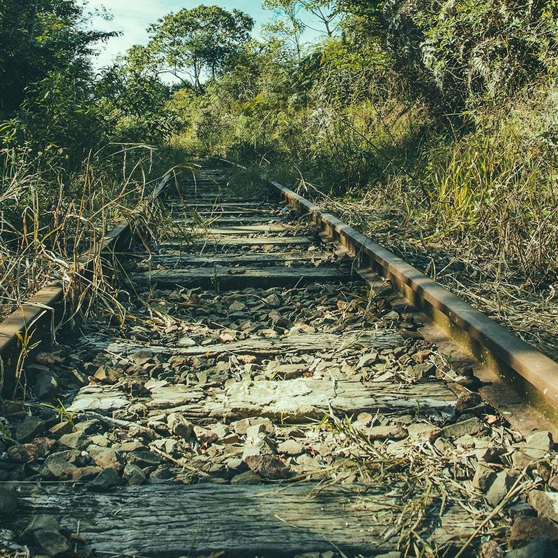 Glezna baltā rāmī - Old Railroad Tracks 