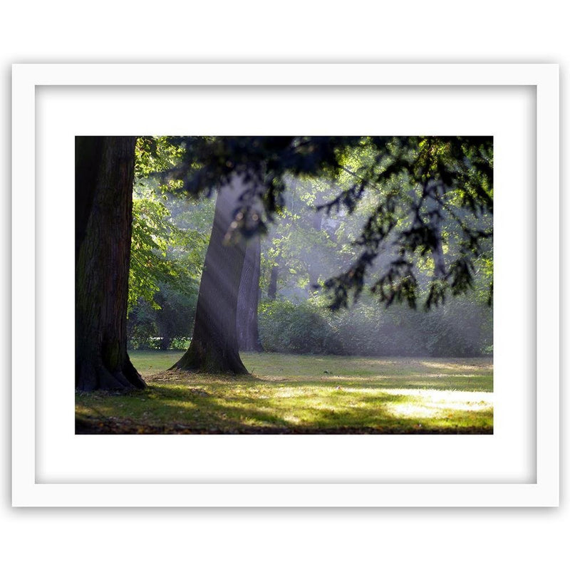 Glezna baltā rāmī - Trees In The Park 