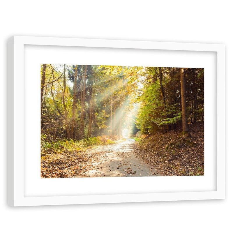 Glezna baltā rāmī - Forest Road In Autumn 