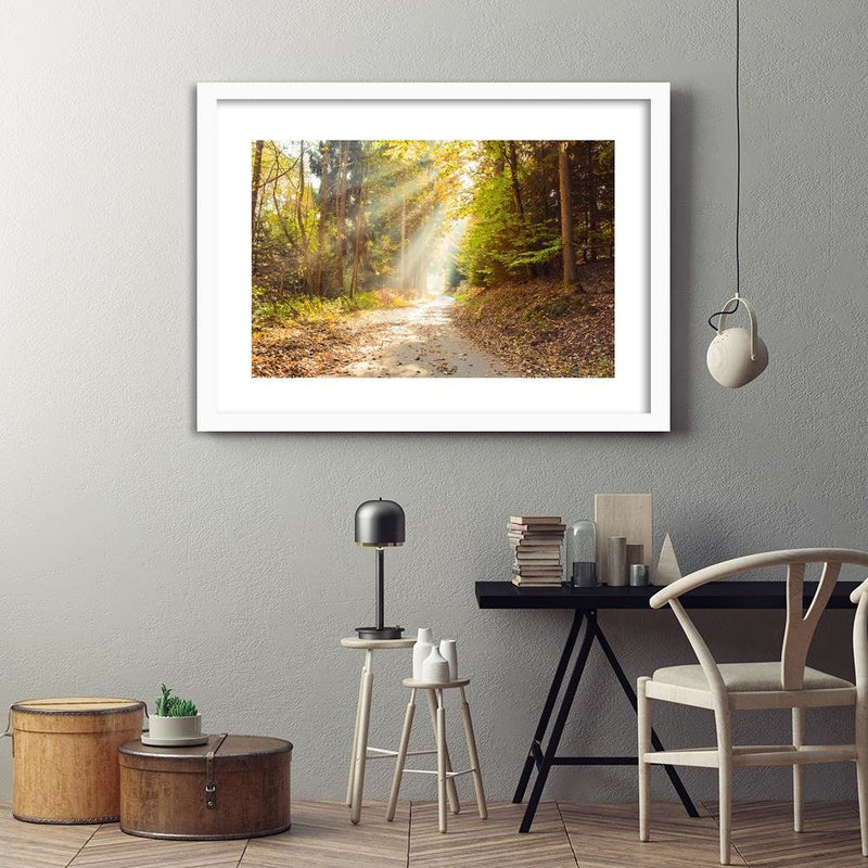 Glezna baltā rāmī - Forest Road In Autumn 