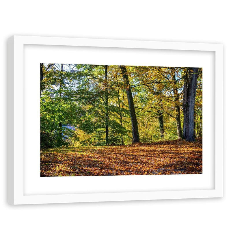 Glezna baltā rāmī - Autumn Leaves In The Park 