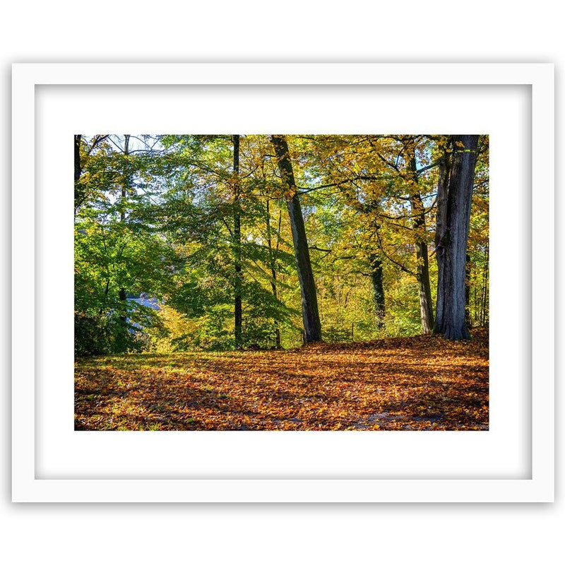 Glezna baltā rāmī - Autumn Leaves In The Park 