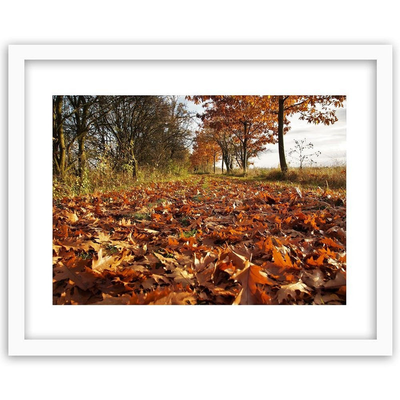 Glezna baltā rāmī - Autumn Leaves On The Forest Road 