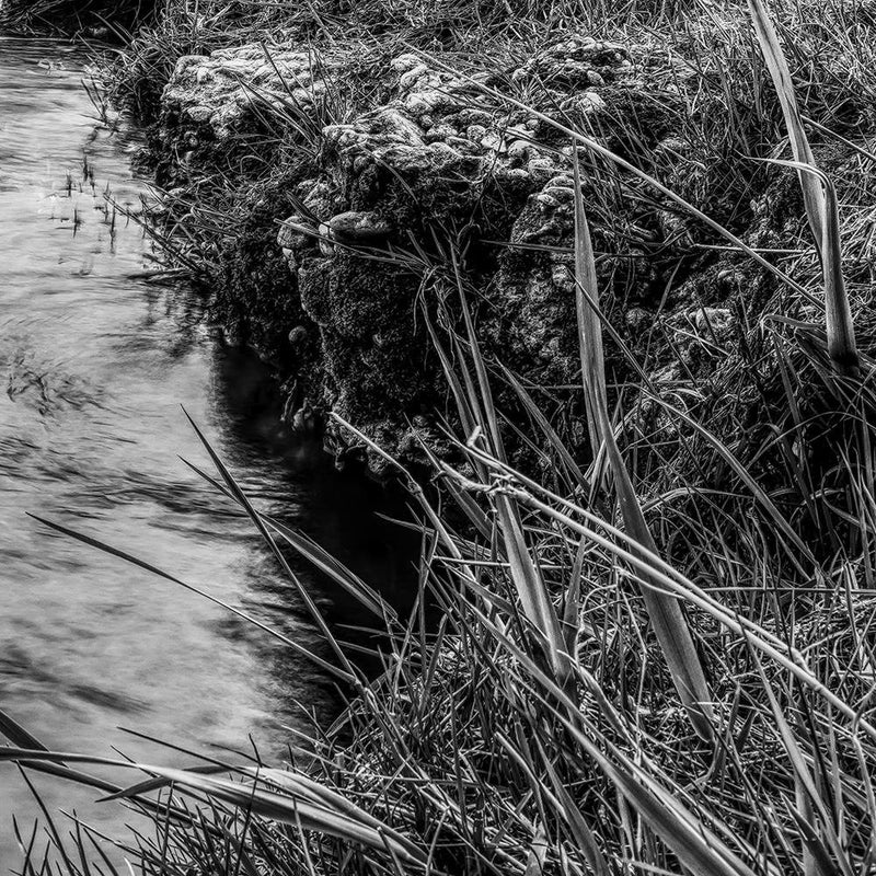 Glezna baltā rāmī - Grass Over Water 